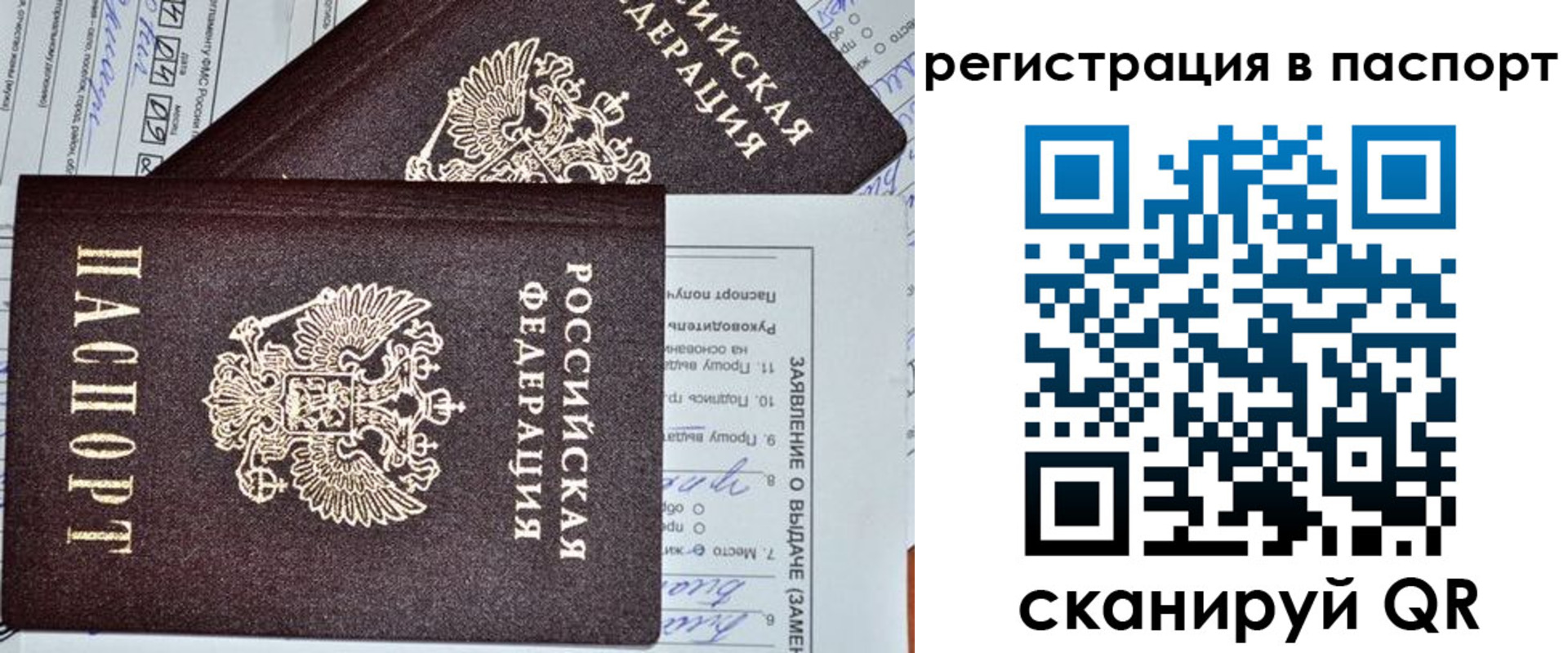 прописка законно в Коряжме
